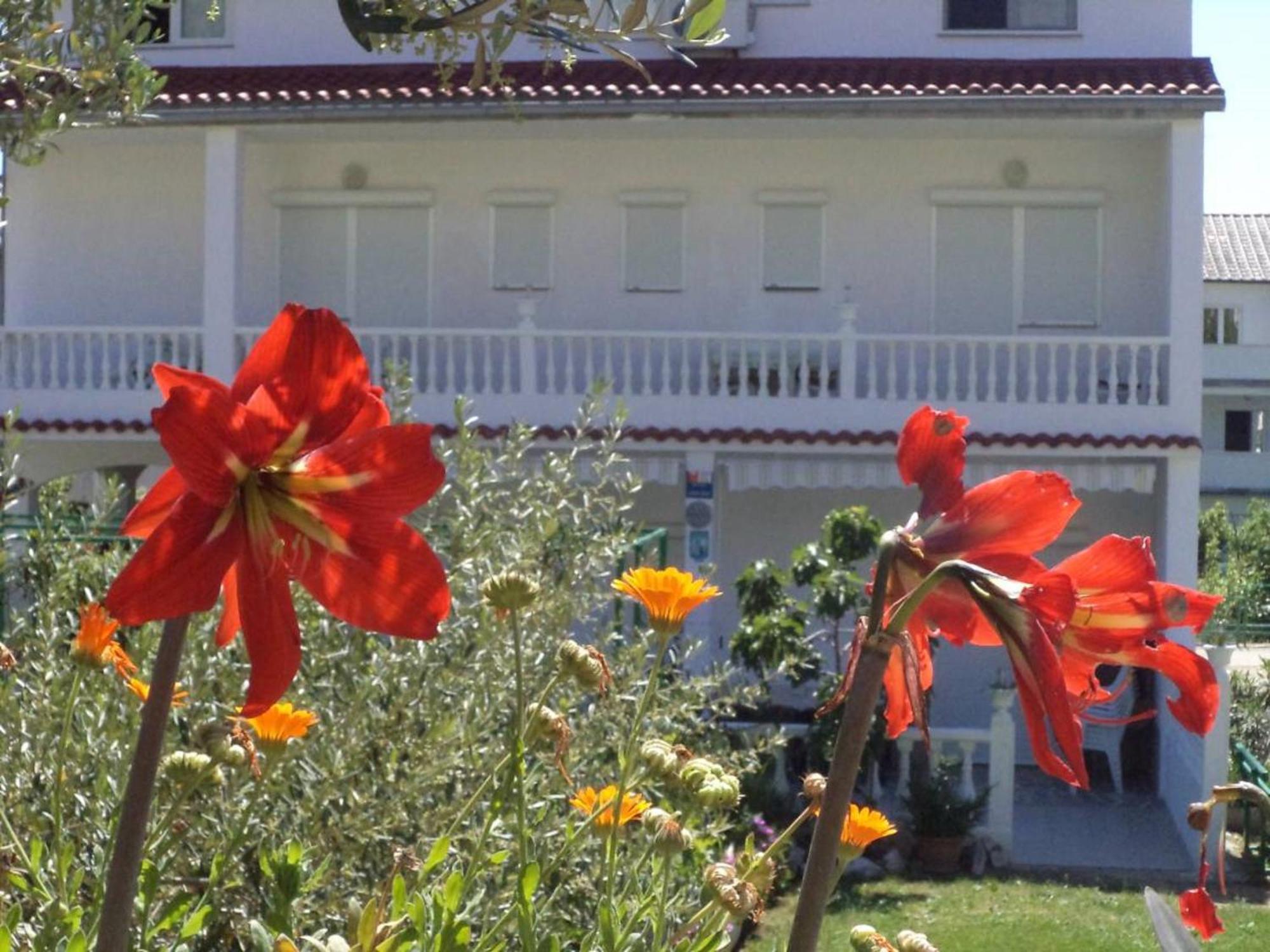 Lovely Meta Apartments Palit ภายนอก รูปภาพ